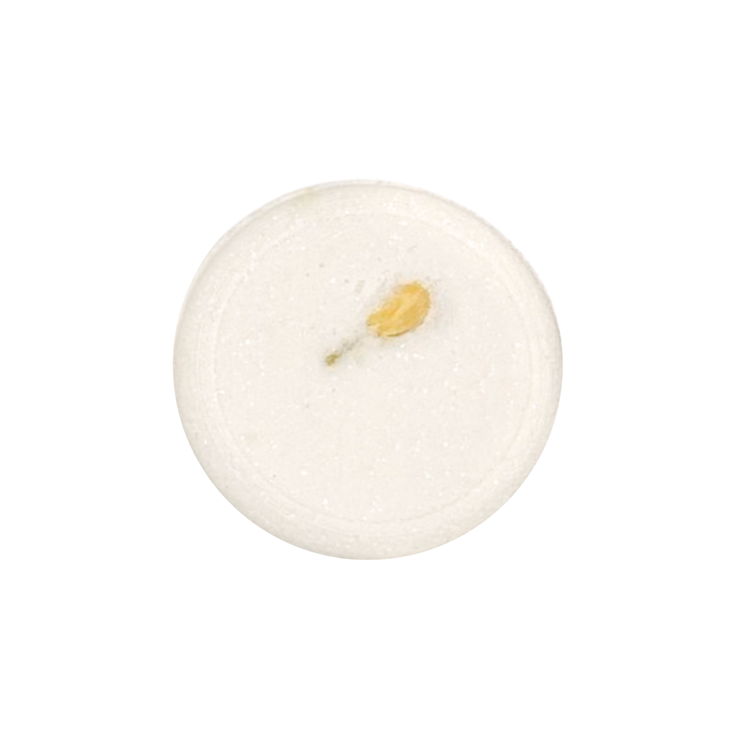 Peaceful Pause (White Tea)